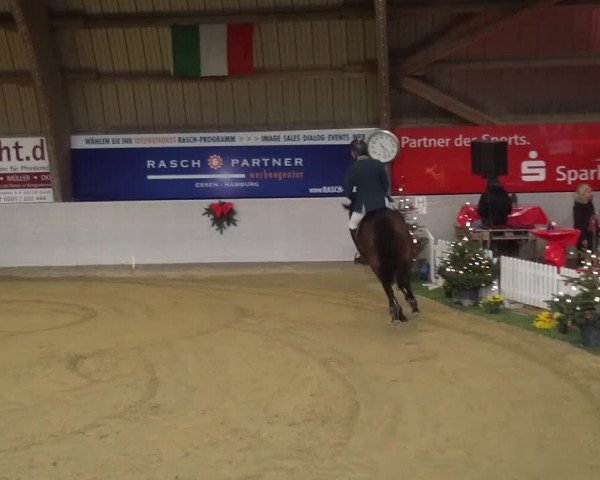 Winterchampionat Essen-Stadtwald 2016