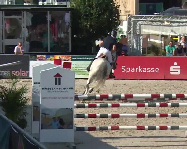 HORSE classics Killingen 2016