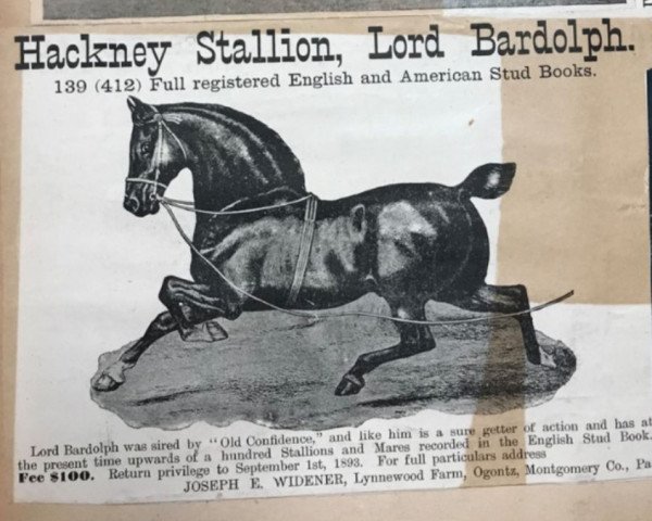 Deckhengst Lord Bardolph (Hackney (Pferd/Pony), 1881, von Confidence)