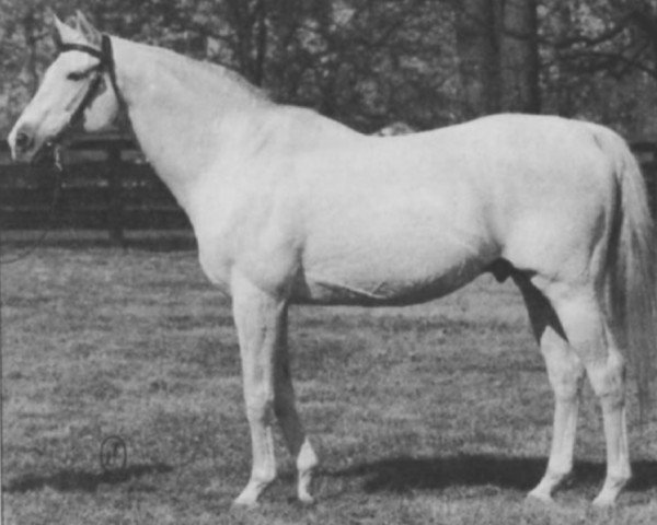 stallion The Axe xx (Thoroughbred, 1958, from Mahmoud xx)