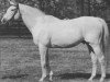 stallion The Axe xx (Thoroughbred, 1958, from Mahmoud xx)