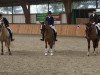 dressage horse Salida del Sol 25 (German Riding Pony, 2014, from Blanchet)