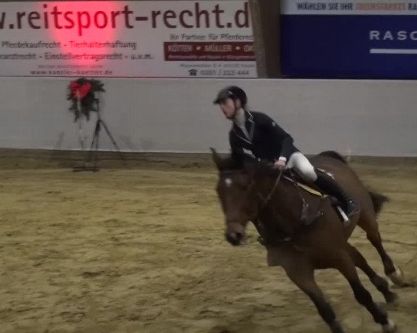 Winterchampionat Essen-Stadtwald 2016