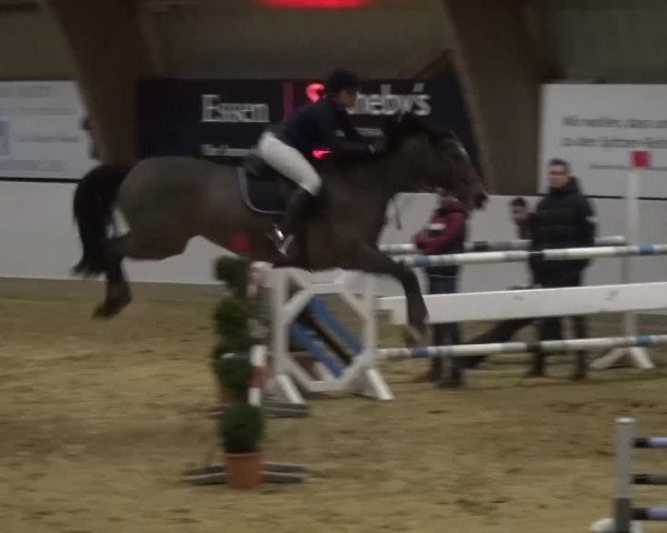 Winterchampionat Essen-Stadtwald 2016