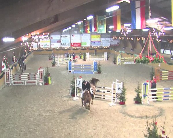 Reitturnier Leck 2016