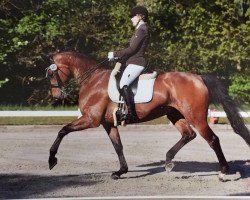 dressage horse Diego Diaz 2 (Hanoverian, 2006, from Dr Doolittle 45)