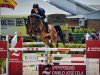 broodmare Diacenta (Oldenburg show jumper, 2010, from Diarado)