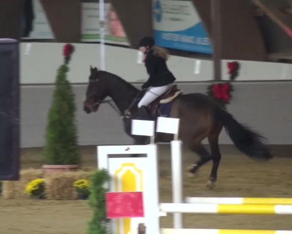 Winterchampionat Essen-Stadtwald 2016