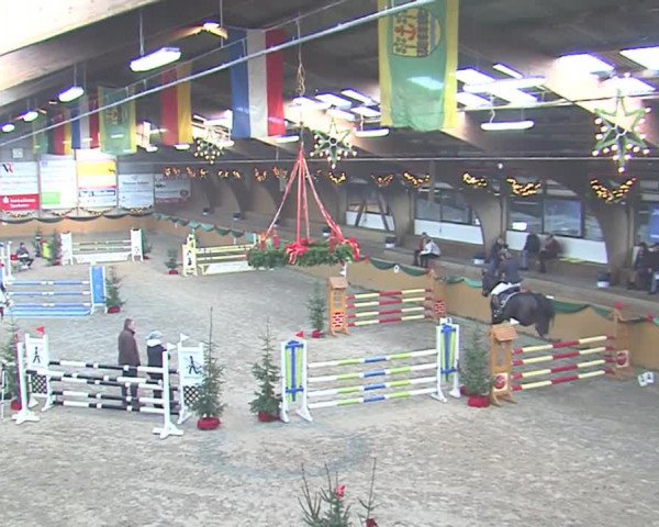 Reitturnier Leck 2016