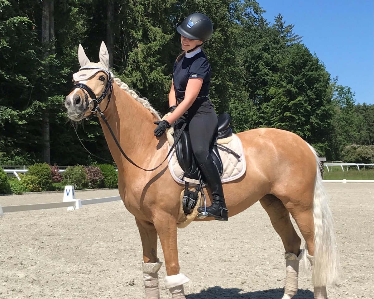 Dressurpferd Golden Girl III (Deutsches Reitpony, 2010, von Derano Gold)
