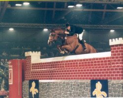 horse Lapino (Belgian Warmblood, 1988, from Lys de Darmen)