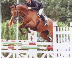 horse Ovidius van het Merelsnest (Belgian Warmblood, 1991, from Lys de Darmen)