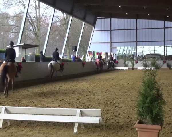 Winterchampionat Essen-Stadtwald 2016