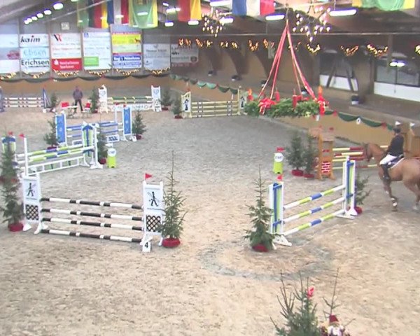Reitturnier Leck 2016