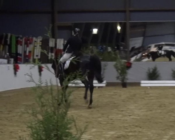 Winterchampionat Essen-Stadtwald 2016