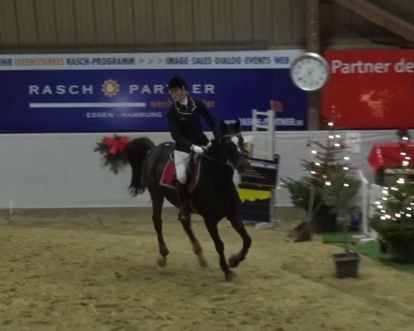 Winterchampionat Essen-Stadtwald 2016