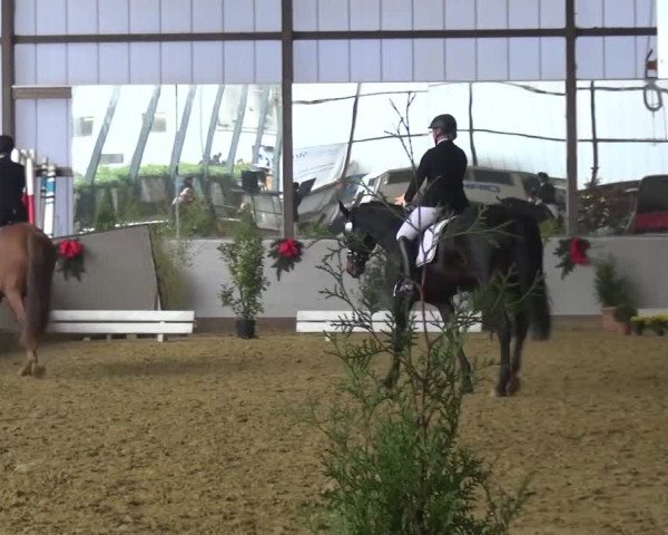 Winterchampionat Essen-Stadtwald 2016