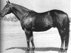 stallion Depth Charge xx (Thoroughbred, 1941, from Bold Venture xx)