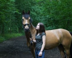 Zuchtstute Yi Zafinaah (Deutsches Reitpony, 2010, von Rheingold)