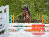 jumper Chiara L 3 (German Sport Horse, 2016, from Caruso Z)