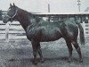 stallion McBarr xx (Thoroughbred, 1958, from Three Bars xx)