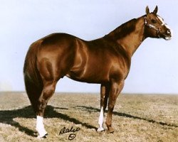 Deckhengst The Invester (Quarter Horse, 1969, von Zippo Pat Bars)