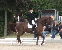 dressage horse Fabian 253 (Westphalian, 1998, from Florestan I)