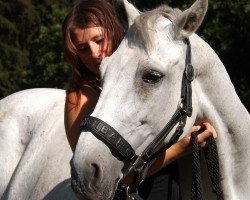 Pferd Izis (Polnisches Warmblut, 2006, von Wallon)