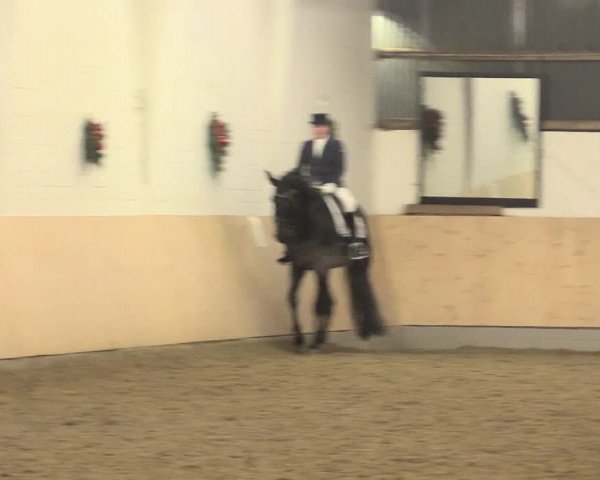 Dressur Late-Entry Datteln 2016