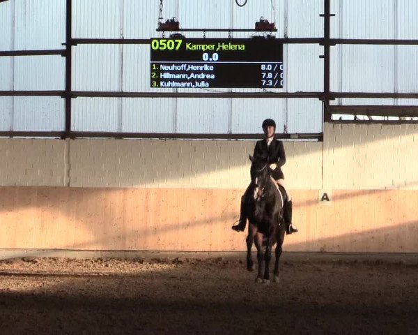 Dressur Late-Entry Datteln 2016