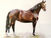 broodmare Graeva (Hanoverian, 1998, from Graf Top)