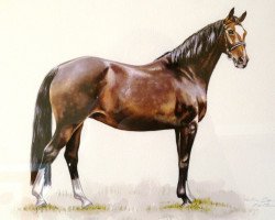 broodmare Graeva (Hanoverian, 1998, from Graf Top)