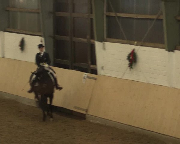 Dressur Late-Entry Datteln 2016