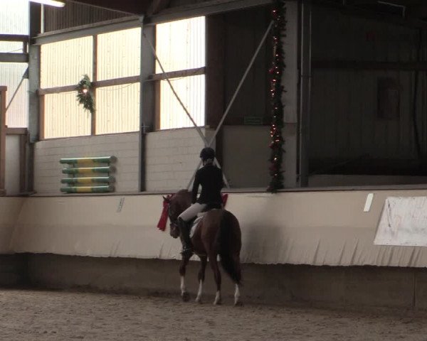 Dressur Late Entry Alt-Marl 2016
