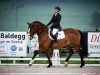 dressage horse Well Dandy CH (Swiss Warmblood, 2005, from Well Done CH)