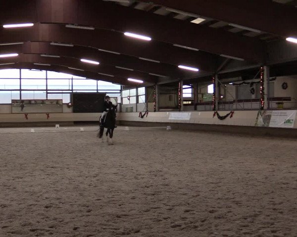 Dressur Late Entry Alt-Marl 2016
