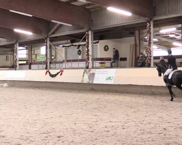 Dressur Late Entry Alt-Marl 2016