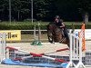 jumper Haribo 62 (German Riding Pony, 2012, from MPS Hugo Boss WE)