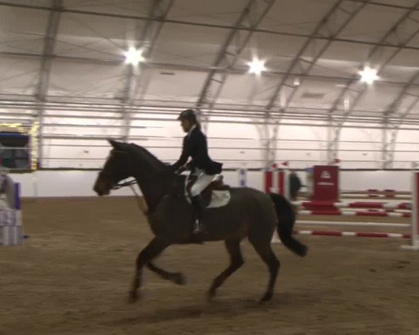 Reitturnier Wendorf 2016