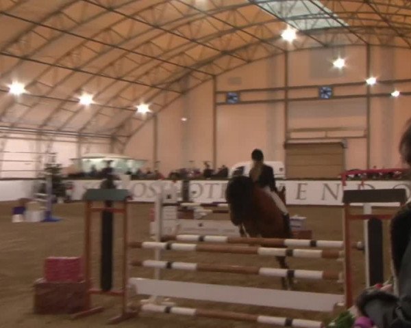 Reitturnier Wendorf 2016