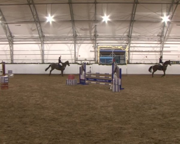 Reitturnier Wendorf 2016
