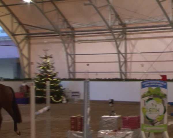 Reitturnier Wendorf 2016