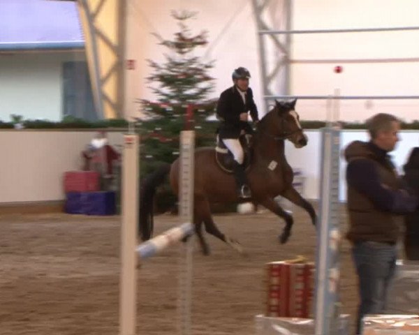 Reitturnier Wendorf 2016