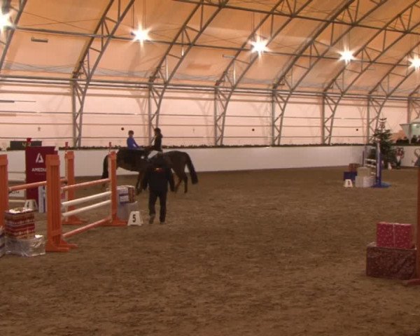 Reitturnier Wendorf 2016