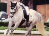 dressage horse Chameur (German Riding Pony, 2006, from Henry)