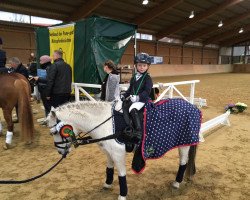 dressage horse Lady Leonie (Welsh mountain pony (SEK.A), 1995, from Lemon Park)