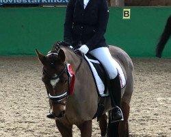 dressage horse B' Leni Blanchet W (German Riding Pony, 2006, from Caprimond)