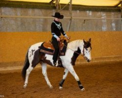 Deckhengst Freckles Big Heart (Paint Horse, 2003, von Mr Big Heart)