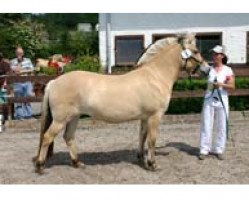 horse Lavinia (Fjord Horse, 2009, from Dylan)