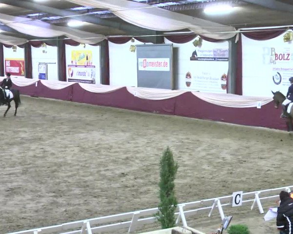 22. Drei-Königs-Hallenturnier Eppelheim 2017